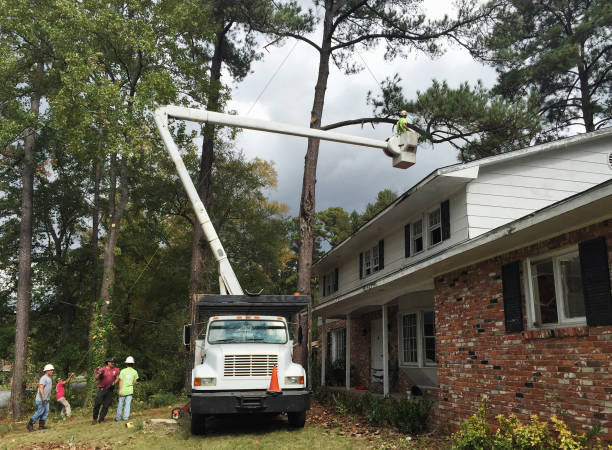 Seasonal Cleanup in Riverview, MI